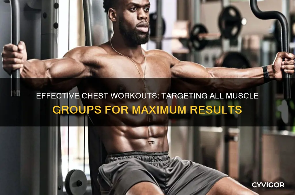 how to work all muscle groups in chest