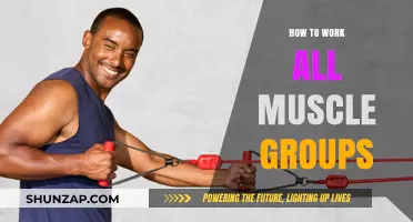 Full-Body Fitness: Effective Strategies to Target Every Muscle Group