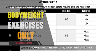 Master Full-Body Strength: Effective Bodyweight Exercises for Every Muscle Group