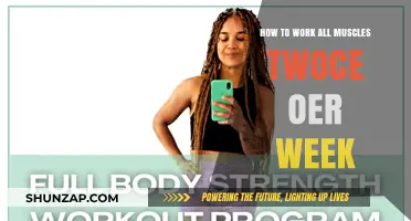 Maximize Muscle Growth: Effective Twice-Weekly Full-Body Workout Strategies