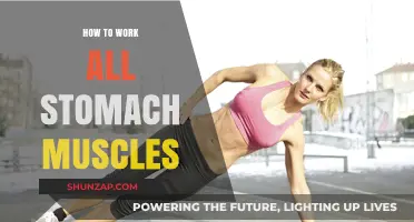 Effective Exercises to Target and Strengthen All Stomach Muscles
