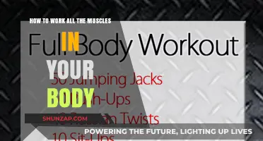 Total Body Transformation: Effective Strategies to Engage Every Muscle Group
