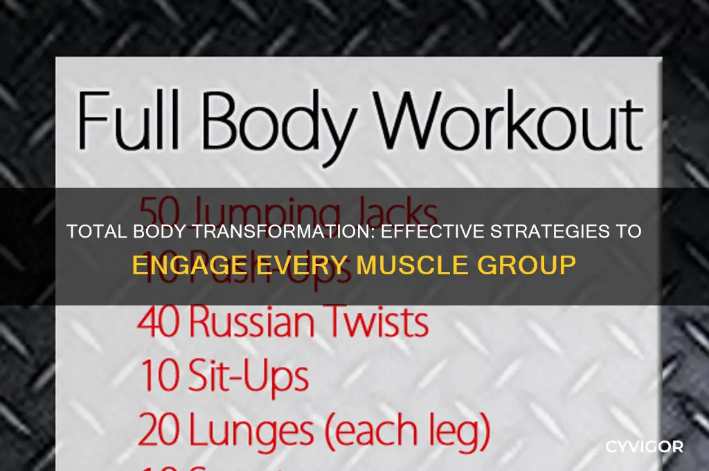 how to work all the muscles in your body