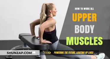 Effective Upper Body Workout: Target All Muscles with These Tips