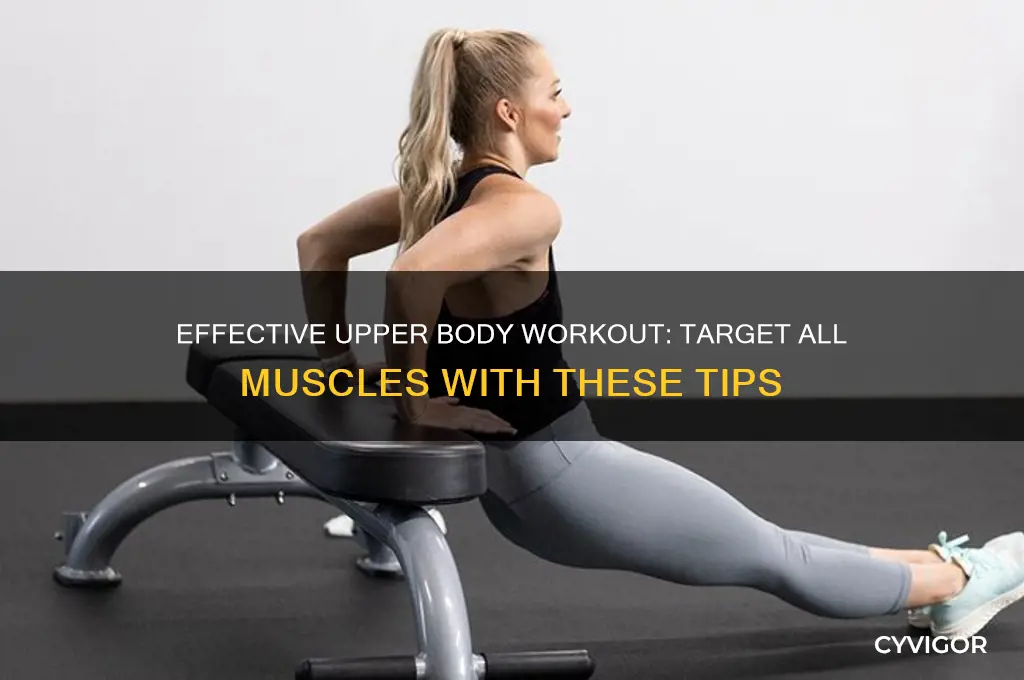 how to work all upper body muscles