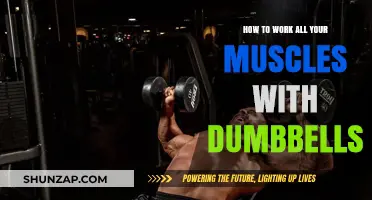 Full-Body Dumbbell Workout: Target Every Muscle Group Effectively