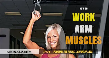 Effective Arm Muscle Workouts: Tips for Strength and Definition
