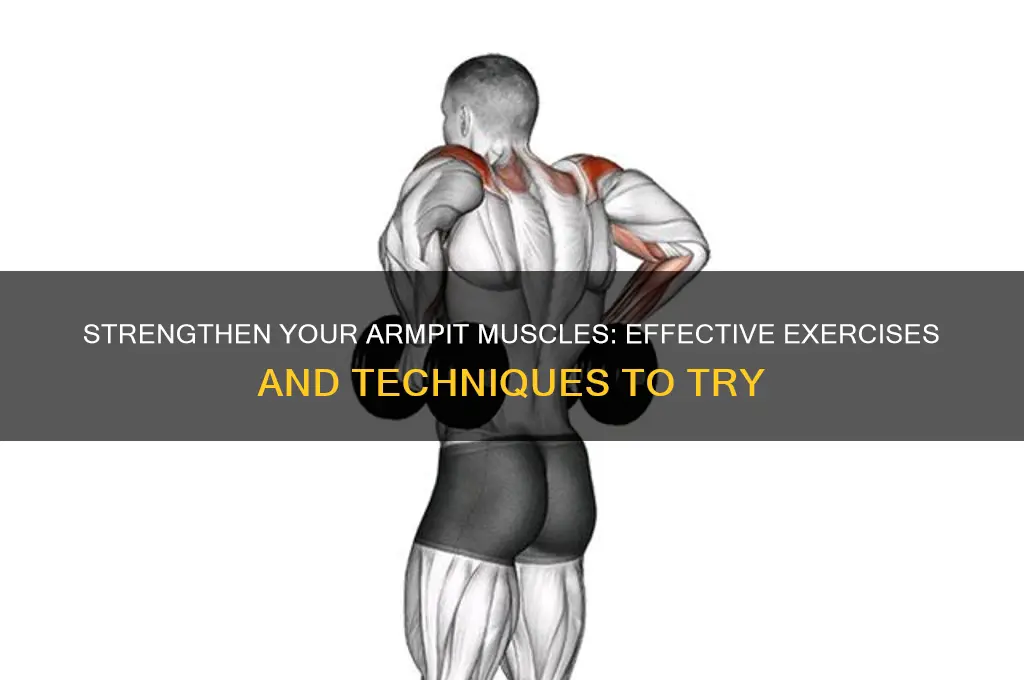 how to work armpit muscles