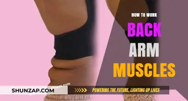 Effective Back Arm Muscle Workouts: Techniques for Strength and Tone
