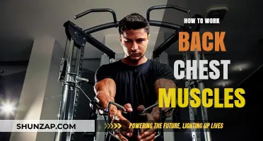 Effective Back and Chest Workouts: Strengthen and Sculpt Your Muscles