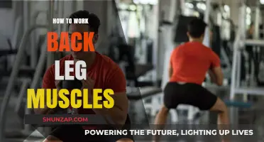 Effective Exercises to Strengthen and Tone Your Back Leg Muscles