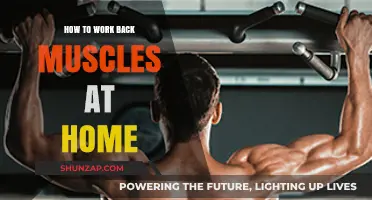 Effective Home Workouts to Strengthen and Tone Your Back Muscles