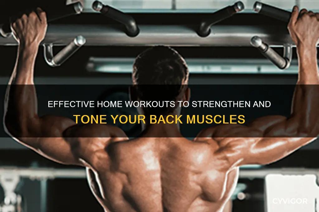 how to work back muscles at home