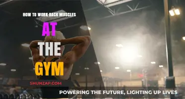 Effective Gym Exercises to Strengthen and Sculpt Your Back Muscles