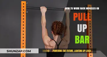 Effective Pull-Up Bar Techniques for Stronger Back Muscles