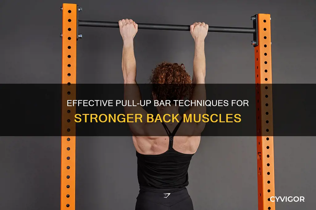 how to work back muscles on pull up bar