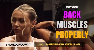 Mastering Back Muscle Workouts: Effective Techniques for Strength and Tone