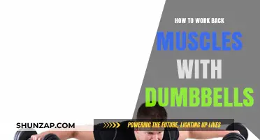 Effective Dumbbell Exercises to Strengthen and Sculpt Your Back Muscles
