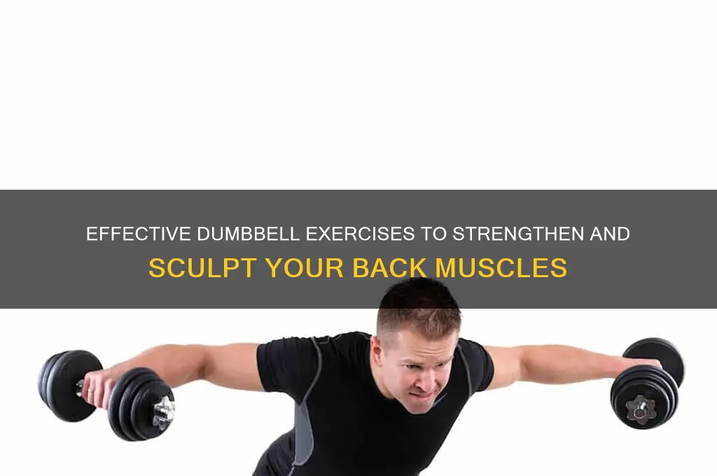 how to work back muscles with dumbbells