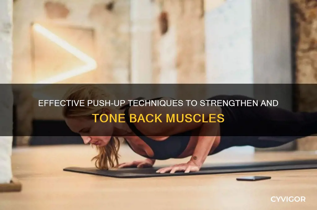 how to work back muscles with push ups