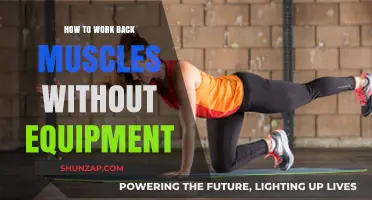 Effective Back Muscle Workouts: Equipment-Free Exercises for Strength & Tone