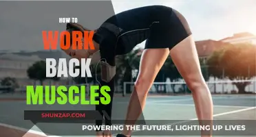 Effective Back Muscle Workouts: Strengthen, Tone, and Prevent Pain