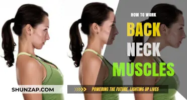 Effective Techniques to Strengthen and Relieve Back Neck Muscles