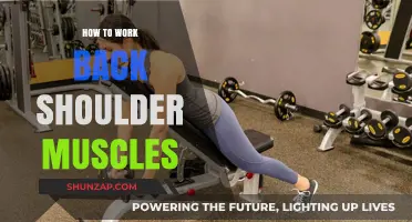 Effective Exercises to Strengthen and Tone Your Back Shoulder Muscles