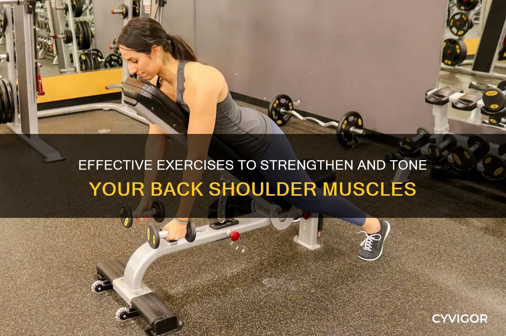 how to work back shoulder muscles