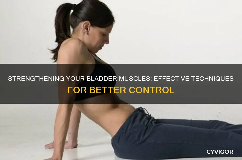 how to work bladder muscles
