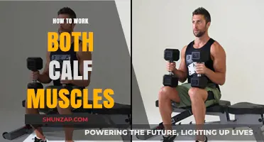 Effective Calf Workouts: Targeting Both Muscles for Strength and Definition