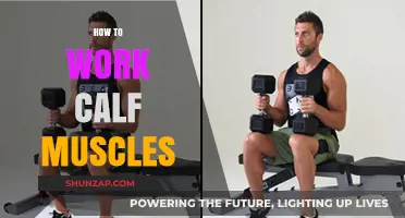 Effective Calf Muscle Workouts: Strengthen and Tone Your Lower Legs