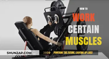 Targeted Muscle Training: Effective Techniques to Work Specific Muscles