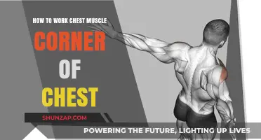 Sculpting Your Chest: Targeting the Corner Muscles for Definition