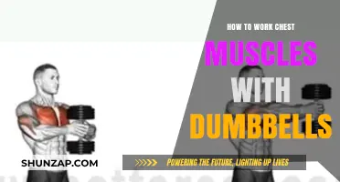 Effective Dumbbell Chest Workouts: Build Strength and Definition Fast