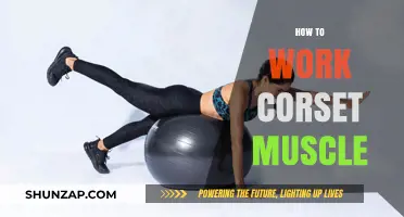 Mastering Corset Muscle: Effective Techniques to Tone Your Core