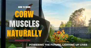 Effective Natural Techniques to Strengthen Your Core Muscles Easily