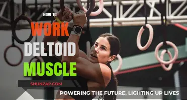 Effective Deltoid Workouts: Strengthen and Sculpt Your Shoulder Muscles