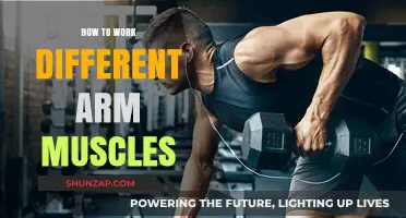 Sculpt Stronger Arms: Targeting Biceps, Triceps, and Forearms Effectively