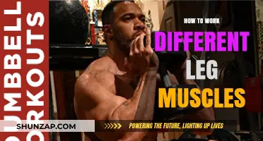 Targeted Leg Workouts: Sculpt and Strengthen Every Muscle Group