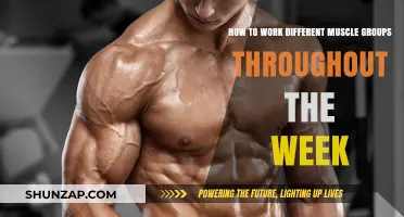 Maximize Gains: Weekly Muscle Group Workout Rotation Guide