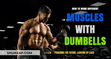 Effective Dumbbell Exercises to Target and Strengthen Every Muscle Group