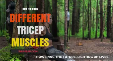 Target All Tricep Heads: Effective Exercises for Complete Arm Development