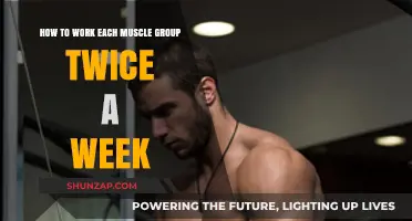Maximize Muscle Growth: Effective Strategies for Training Each Group Twice Weekly
