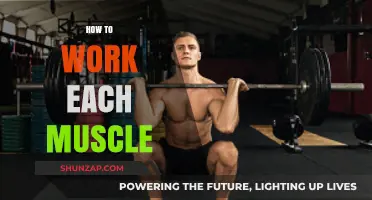 Mastering Muscle Engagement: Effective Techniques to Target Every Muscle Group