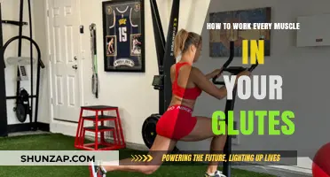 Sculpt Stronger Glutes: Target Every Muscle with These Effective Exercises
