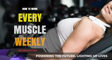 Maximize Weekly Muscle Growth: Full-Body Workout Strategies for Optimal Results