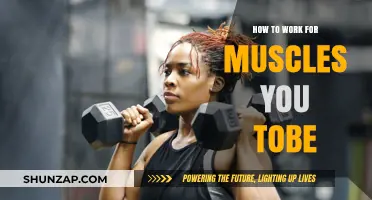 Effective Muscle-Building Strategies for Your YouTube Fitness Journey
