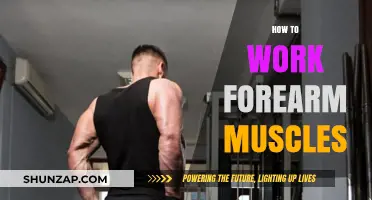 Effective Forearm Workouts: Strengthen and Tone Your Lower Arms Fast