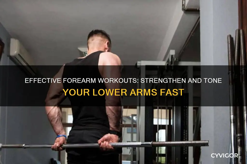 how to work forearm muscles